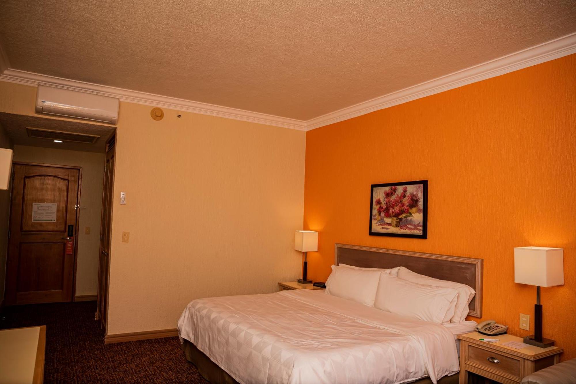 Holiday Inn La Piedad By Ihg Екстериор снимка